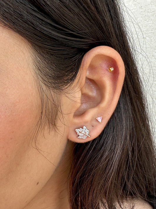 Leaf Rose Gold Polish Earring