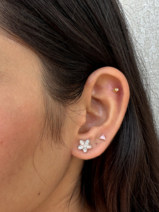 Stylish Rose Gold Polish Studs