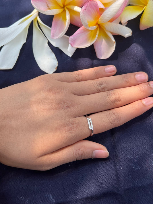 The Lustrous Silver Ring